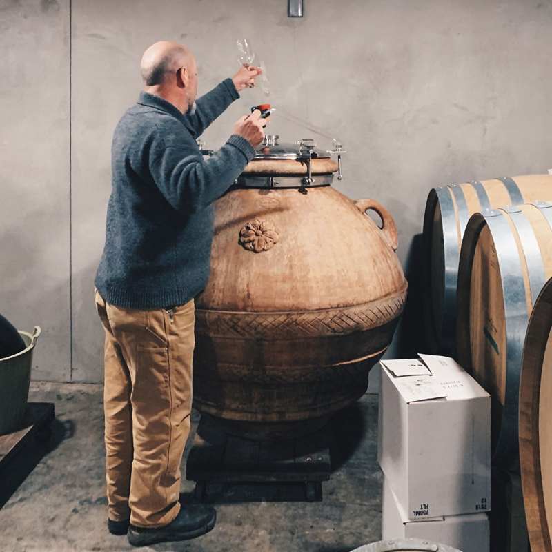 Winemaker Bailey Williamson and his Amphora vessels 
